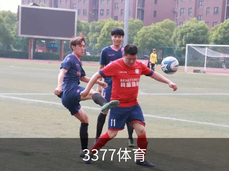 3377体育简介